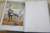 025A8042_compton_frontis